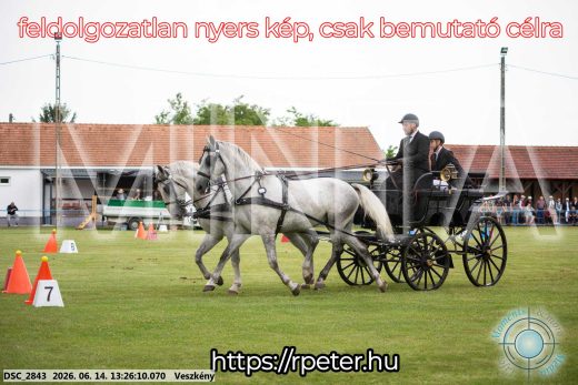 Mintakép 20260614-47