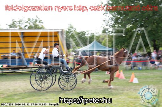 Mintakép 20260531-531