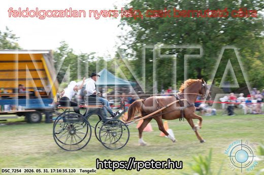 Mintakép 20260531-532