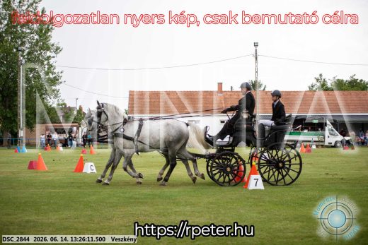 Mintakép 20260614-48