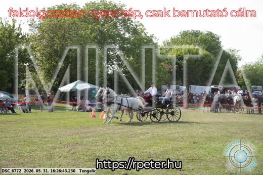 Mintakép 20260531-548
