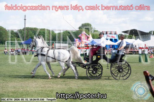 Mintakép 20260531-549