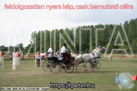 Mintakép 20260531-561
