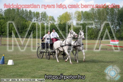 Mintakép 20260531-562