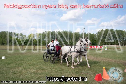 Mintakép 20260531-563