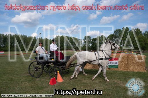 Mintakép 20260531-564