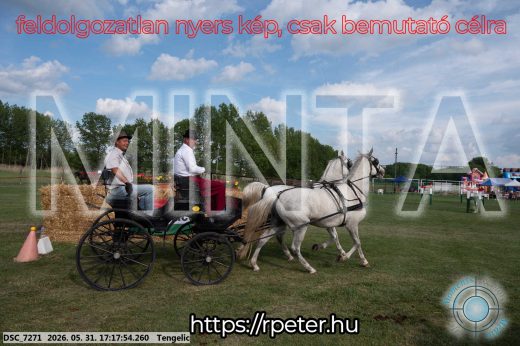 Mintakép 20260531-566
