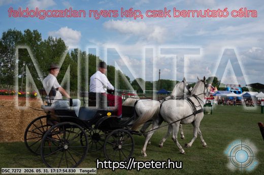 Mintakép 20260531-567