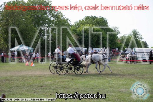 Mintakép 20260531-568