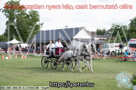 Mintakép 20260531-577
