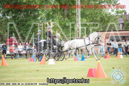 Mintakép 20260614-52