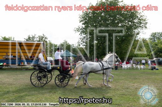 Mintakép 20260531-581