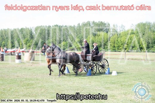 Mintakép 20260531-586
