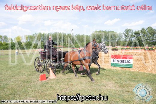 Mintakép 20260531-589