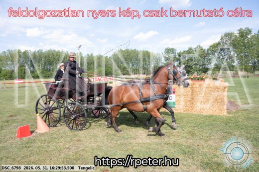 Mintakép 20260531-590