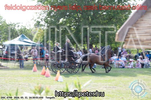 Mintakép 20260531-591