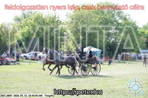 Mintakép 20260531-595