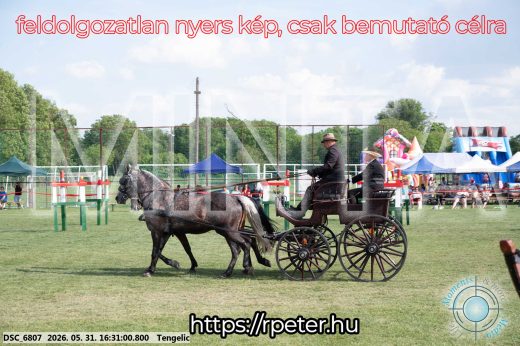 Mintakép 20260531-597