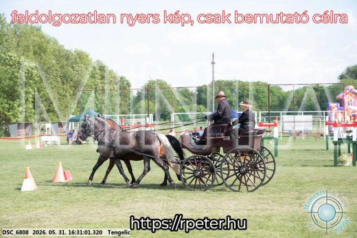 Mintakép 20260531-598