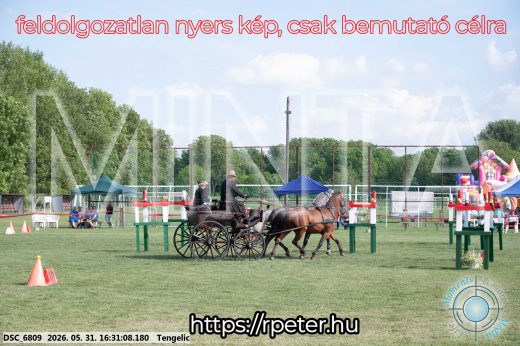Mintakép 20260531-599