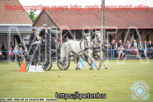 Mintakép 20260614-54