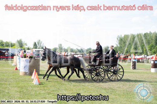 Mintakép 20260531-603
