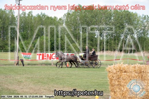 Mintakép 20260531-607
