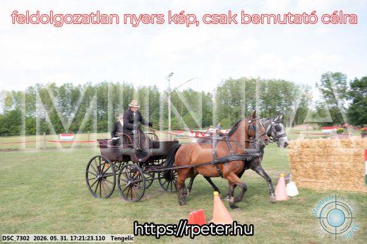 Mintakép 20260531-612