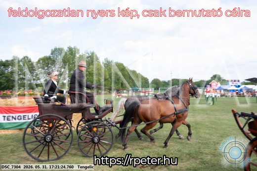 Mintakép 20260531-614