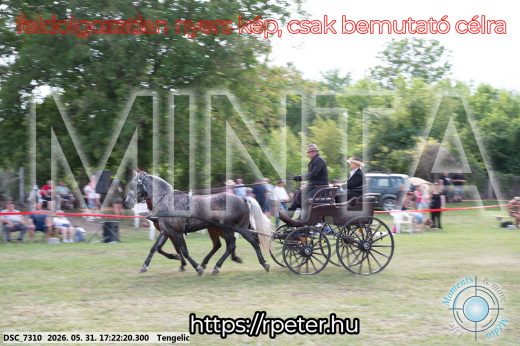 Mintakép 20260531-618