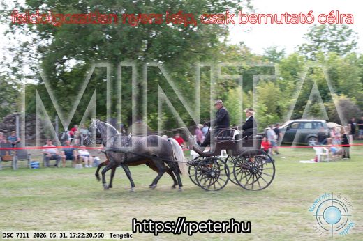 Mintakép 20260531-619