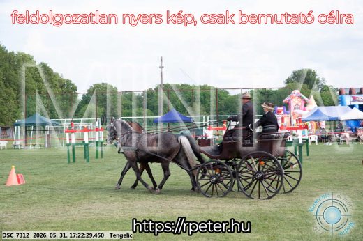 Mintakép 20260531-620