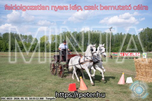Mintakép 20260531-629