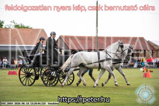 Mintakép 20260614-57