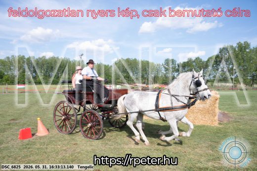 Mintakép 20260531-631