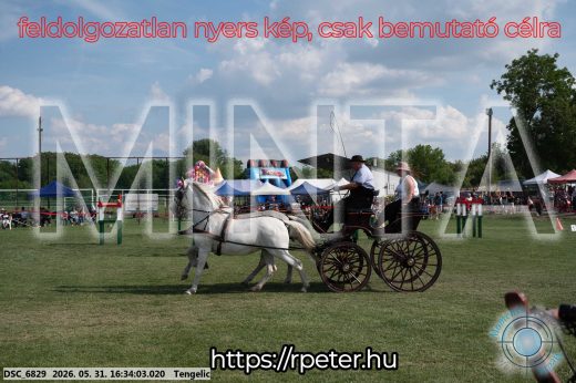 Mintakép 20260531-633