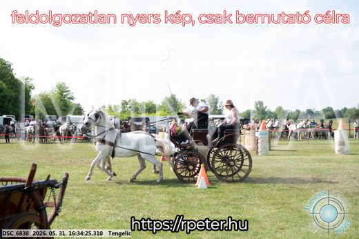 Mintakép 20260531-641