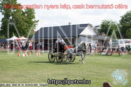 Mintakép 20260531-645