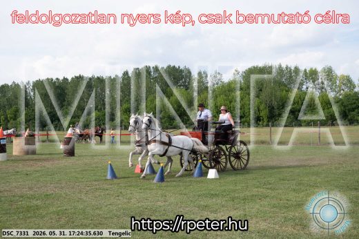Mintakép 20260531-653