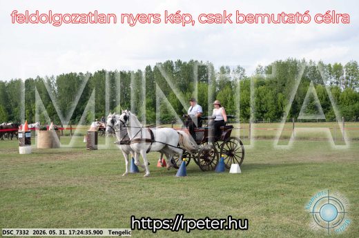 Mintakép 20260531-654