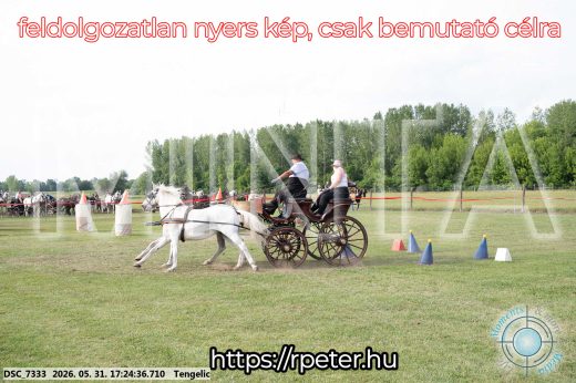 Mintakép 20260531-655