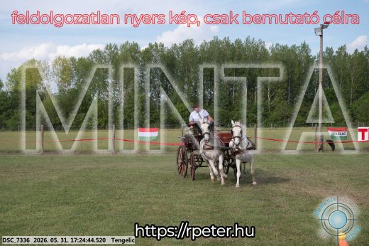 Mintakép 20260531-658
