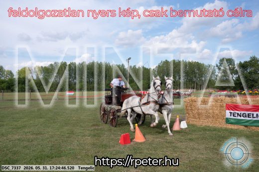 Mintakép 20260531-659