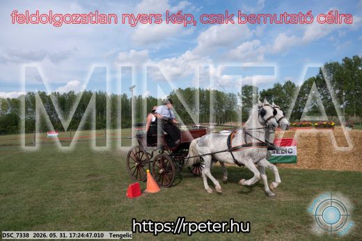 Mintakép 20260531-660