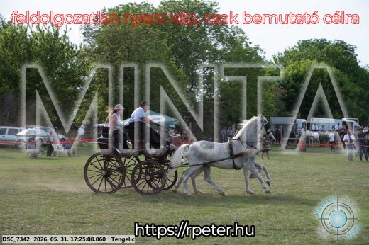 Mintakép 20260531-663