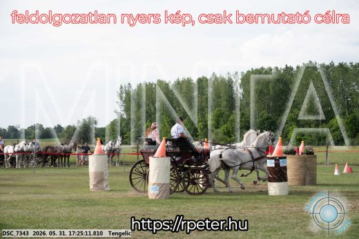 Mintakép 20260531-664