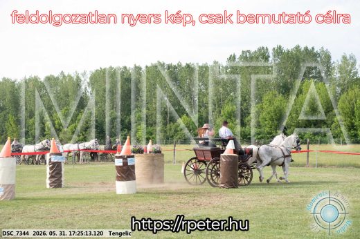 Mintakép 20260531-665