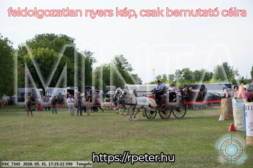 Mintakép 20260531-666