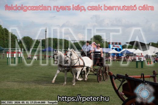 Mintakép 20260531-668