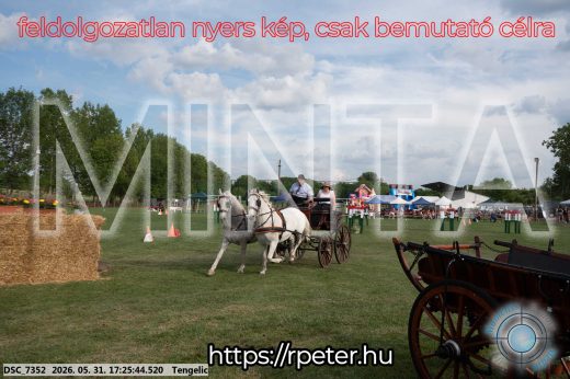 Mintakép 20260531-669